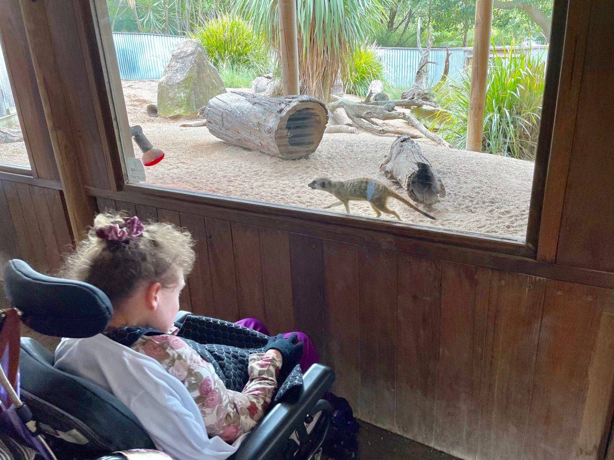 SYMBIO WILDLIFE PARK-HELENSBURG(Support by Pam)