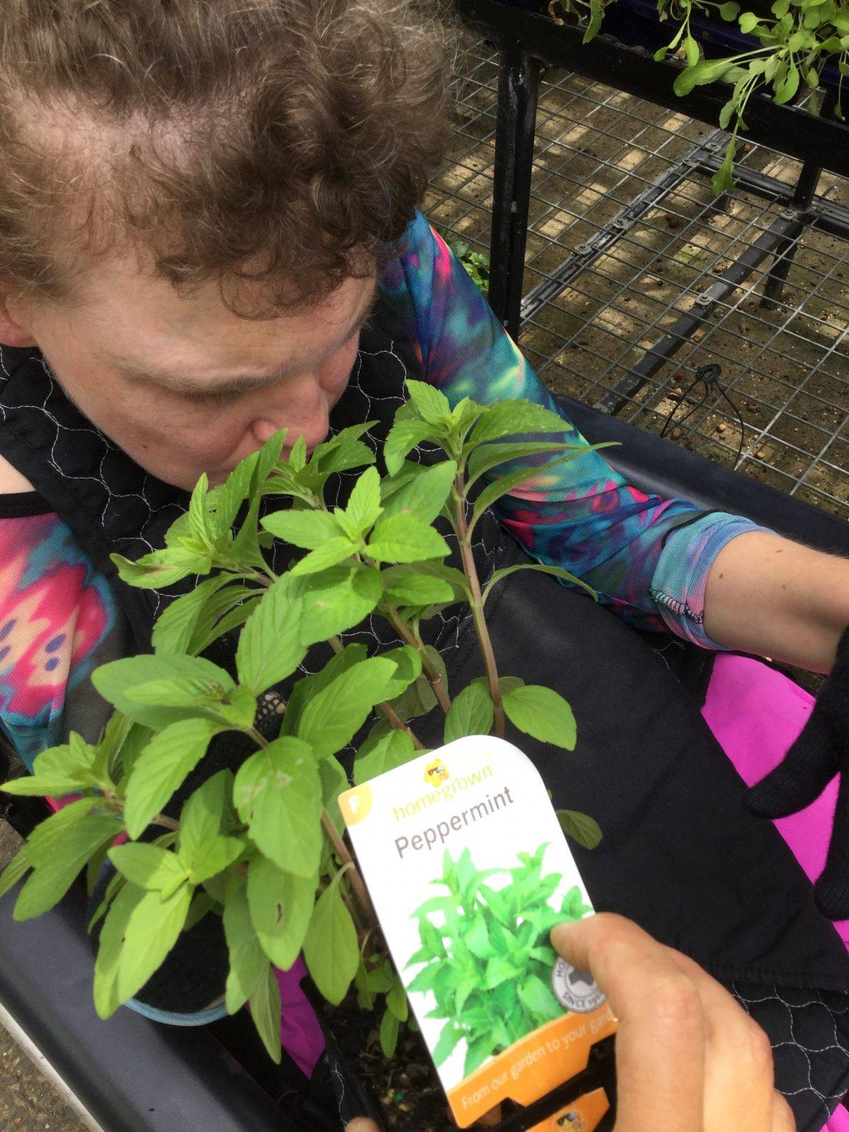 FLOWER POWER -TAREN POINT(Supported by CELESTINE)