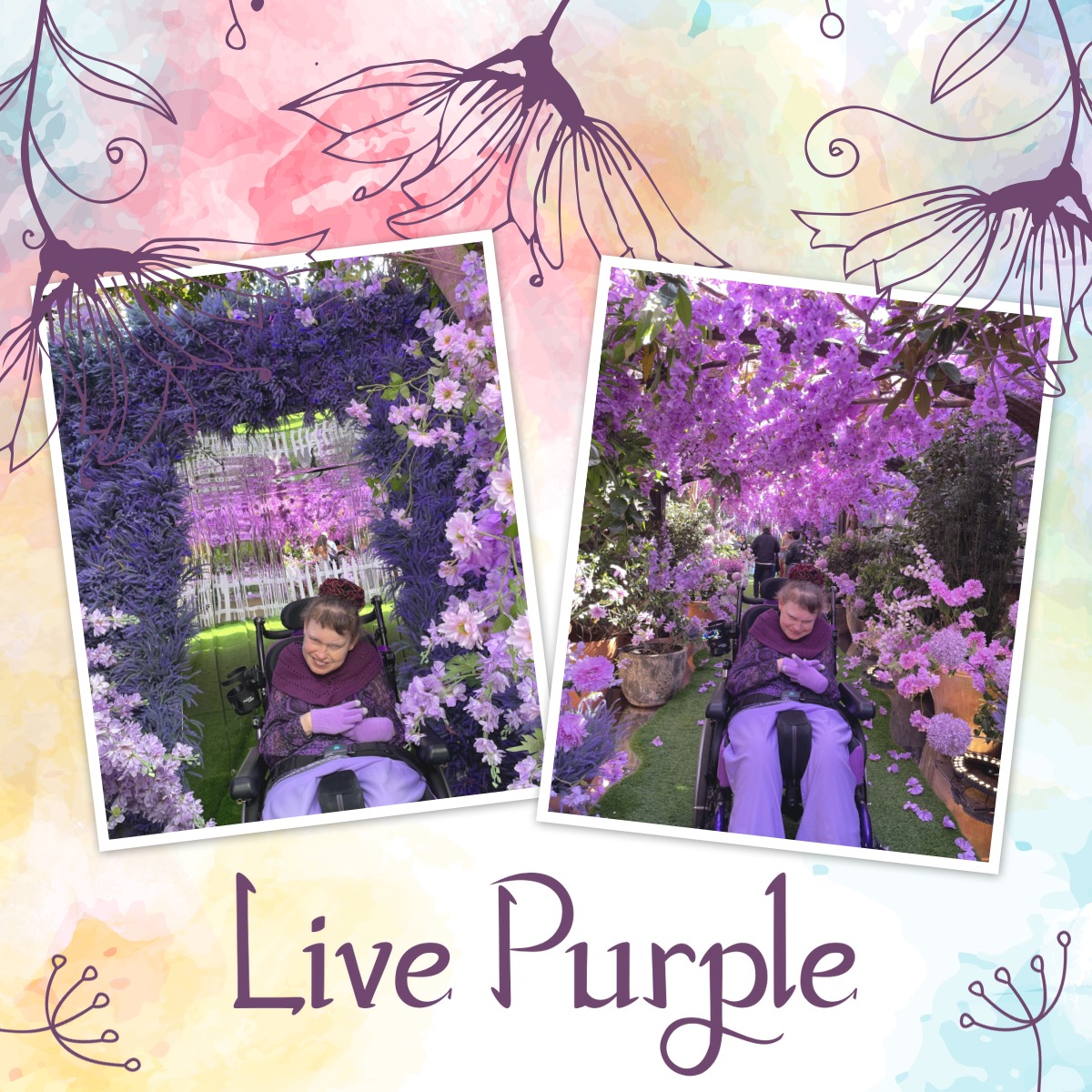 LIVE PURPLE